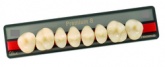 Зубы Premium 8 цвет A2 фасон XS верх