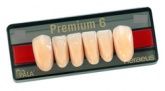 Зубы Premium 6 цвет B1фасон O2 верх