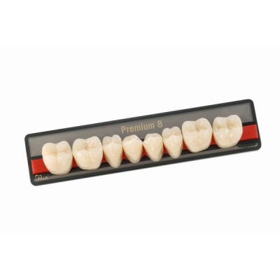 Зубы Premium 8 цвет D2 фасон LL низ