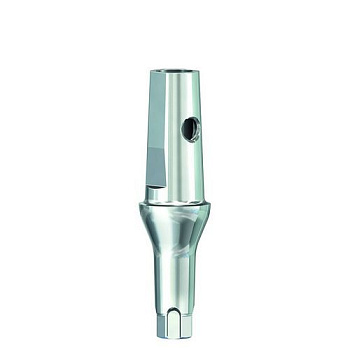 Абатмент SICvantage Standard Abutment grey,anterior,straight,GH 3.0 mm(incl.Screw for grey and Cap) (Более 14 мес)